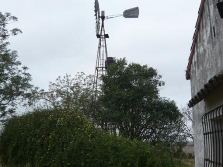 Campo en Victoria, 2 hectareas. Con 2 casas a refaccionar y galpon - 18
