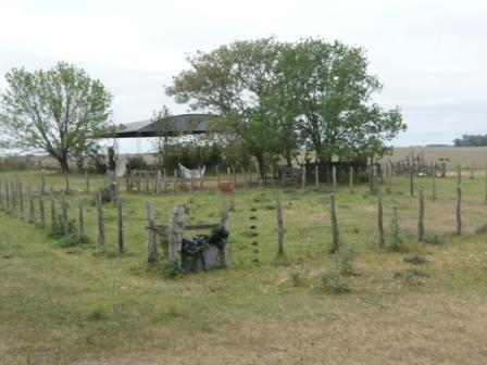 Campo en Victoria, 2 hectareas. Con 2 casas a refaccionar y galpon - 20