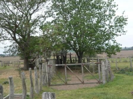 Campo en Victoria, 2 hectareas. Con 2 casas a refaccionar y galpon - 21