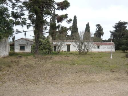 Campo en Victoria, 2 hectareas. Con 2 casas a refaccionar y galpon - 22