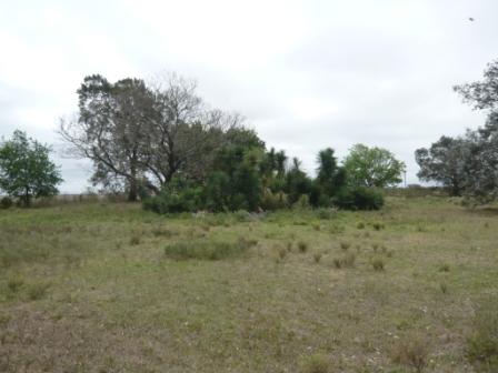 Campo en Victoria, 2 hectareas. Con 2 casas a refaccionar y galpon - 23