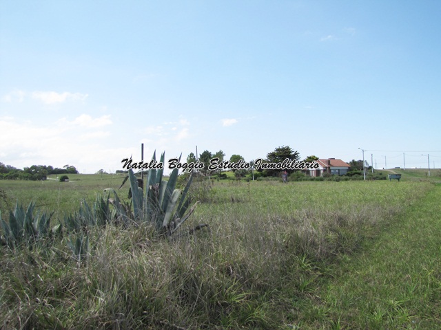 ote SAN EDUARDO de 646 mts2 20 x 32.- a 150 mts de la Ruta 11. — foto 4