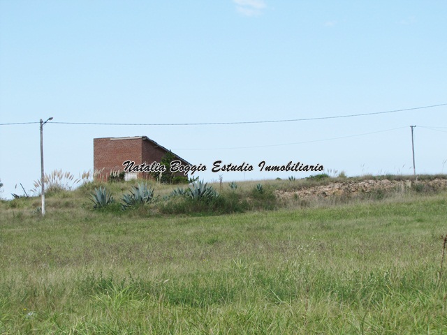 ote SAN EDUARDO de 646 mts2 20 x 32.- a 150 mts de la Ruta 11. — foto 5