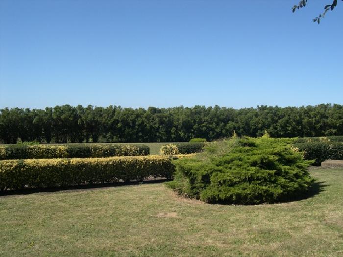 Quinta en Venta en Pje. San Francisco, General Pueyrredon, Buenos Aires — foto 11