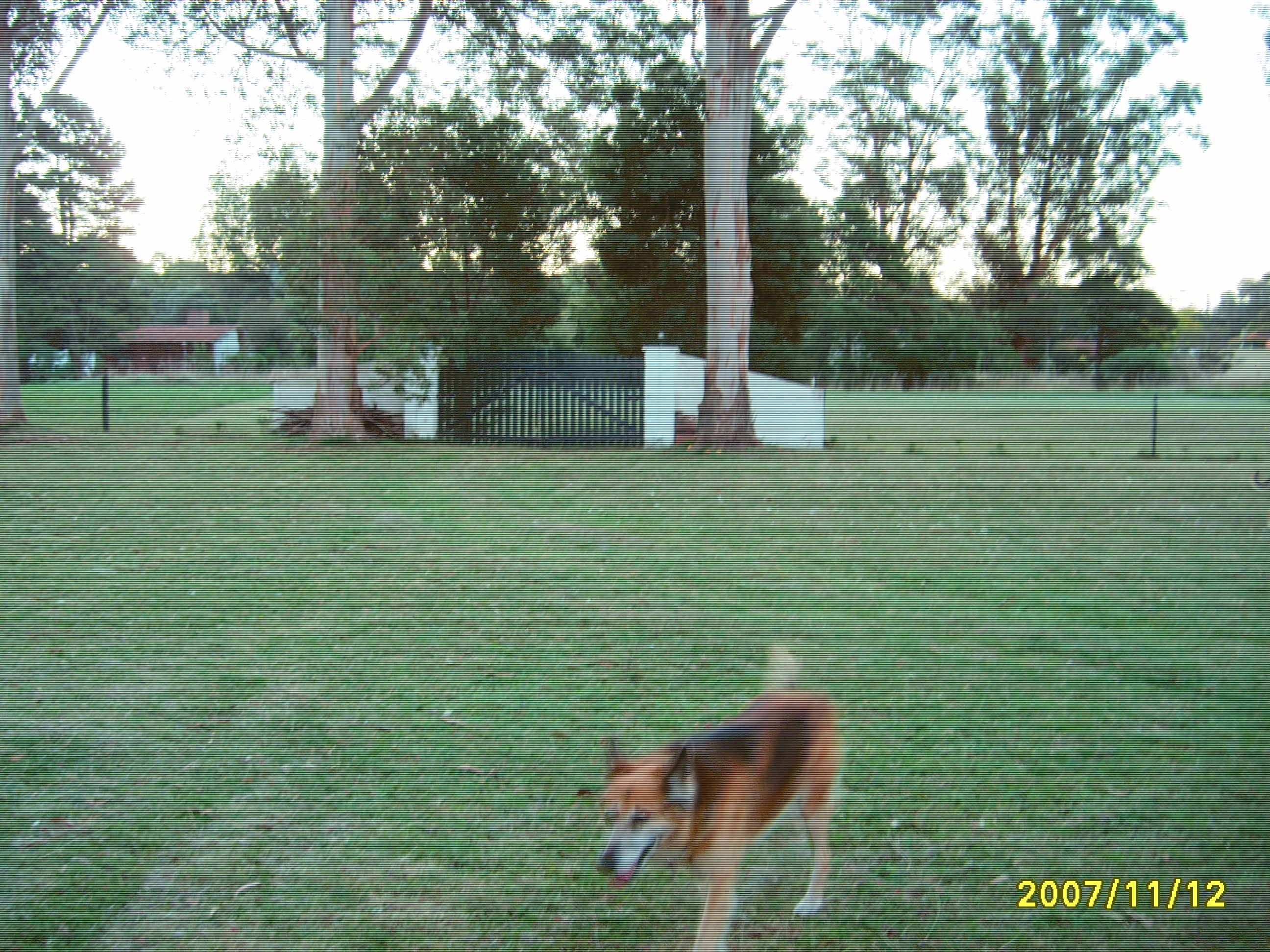 VTA CASA CON LOTE LINDERO — foto 2