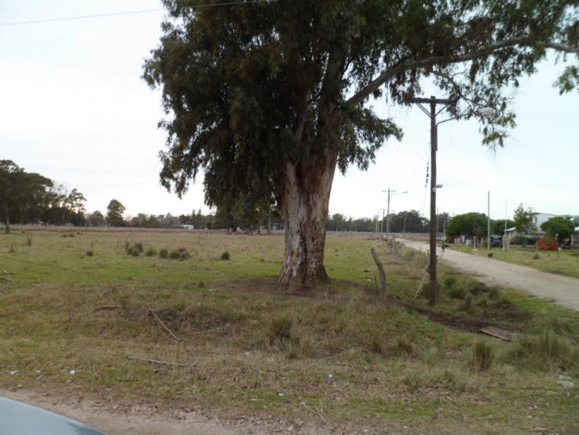 VTA. LOTE EL CASAL ZONA 1500 QUINTAS