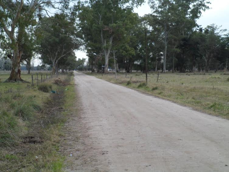 VTA. LOTE EL CASAL ZONA 1500 QUINTAS — foto 2