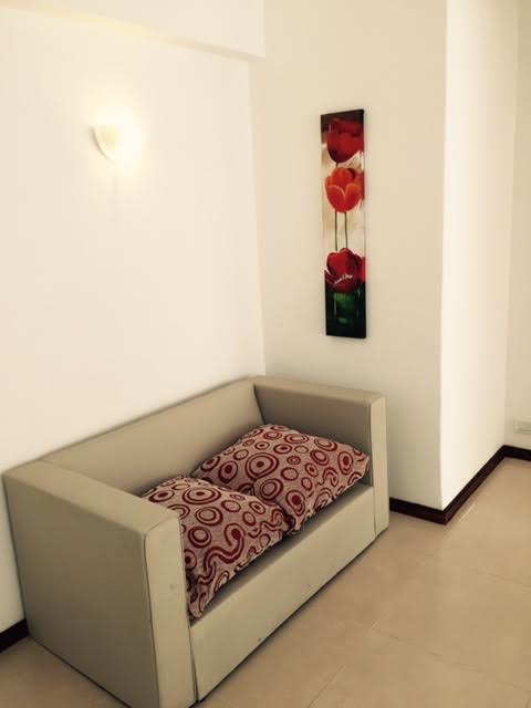 VENTA 2 AMBIENTES CON DPCIA. PEATONAL SAN MARTIN — foto 7
