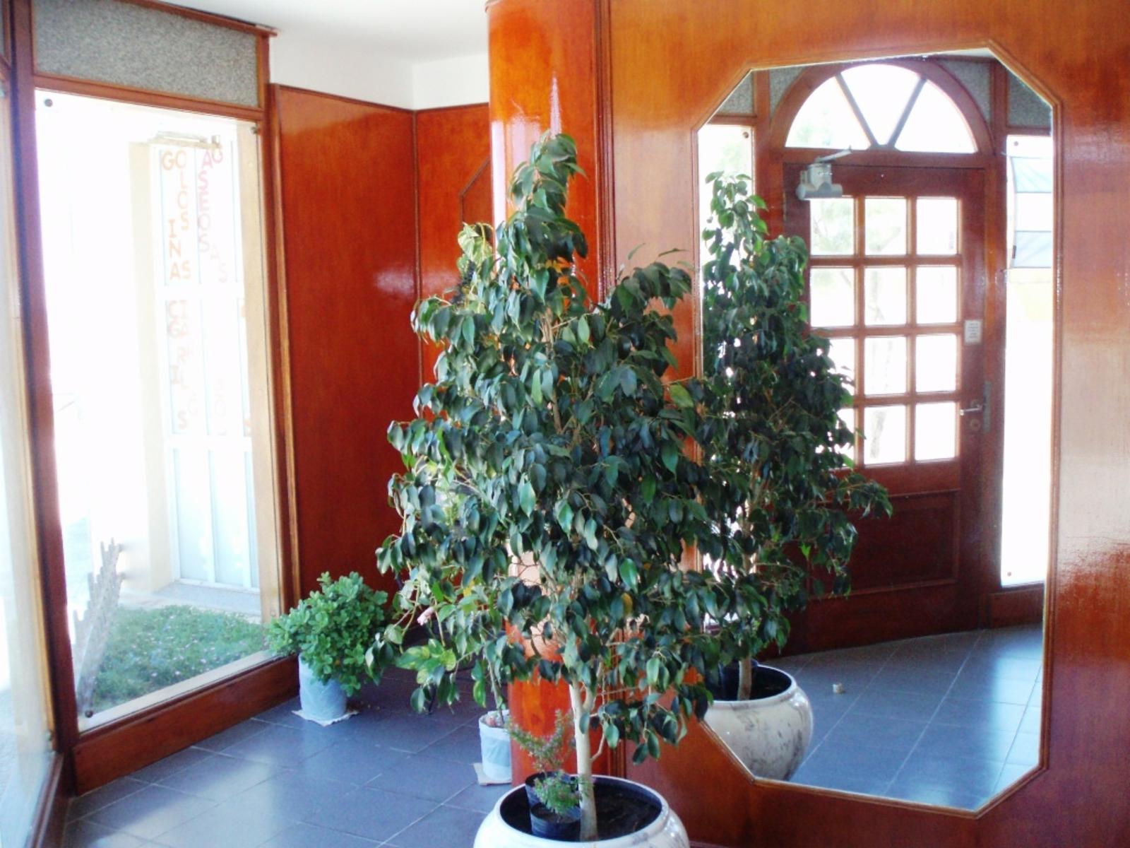 Departamento Funcional Frente al Mar. — foto 4