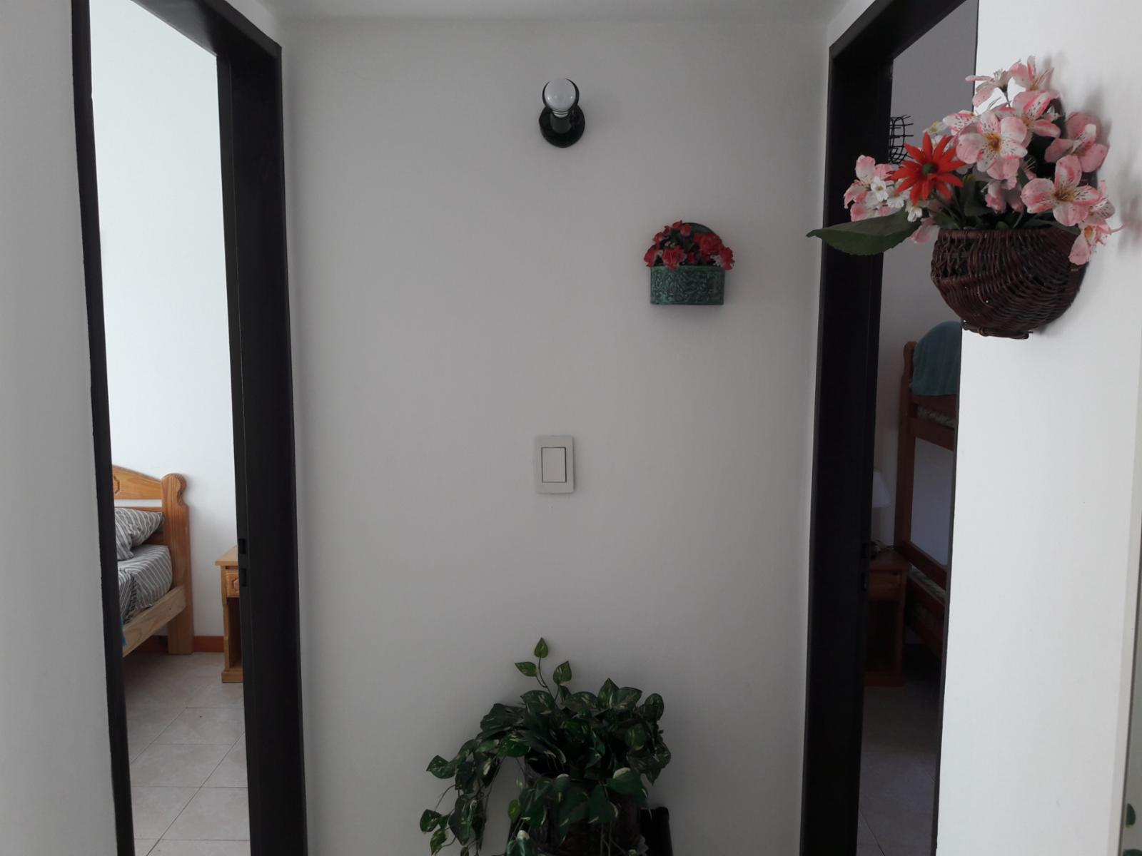 DPTO 3 AMBIENTES CON COCHERA Y TERRAZA, MAR DEL TUYU — foto 4