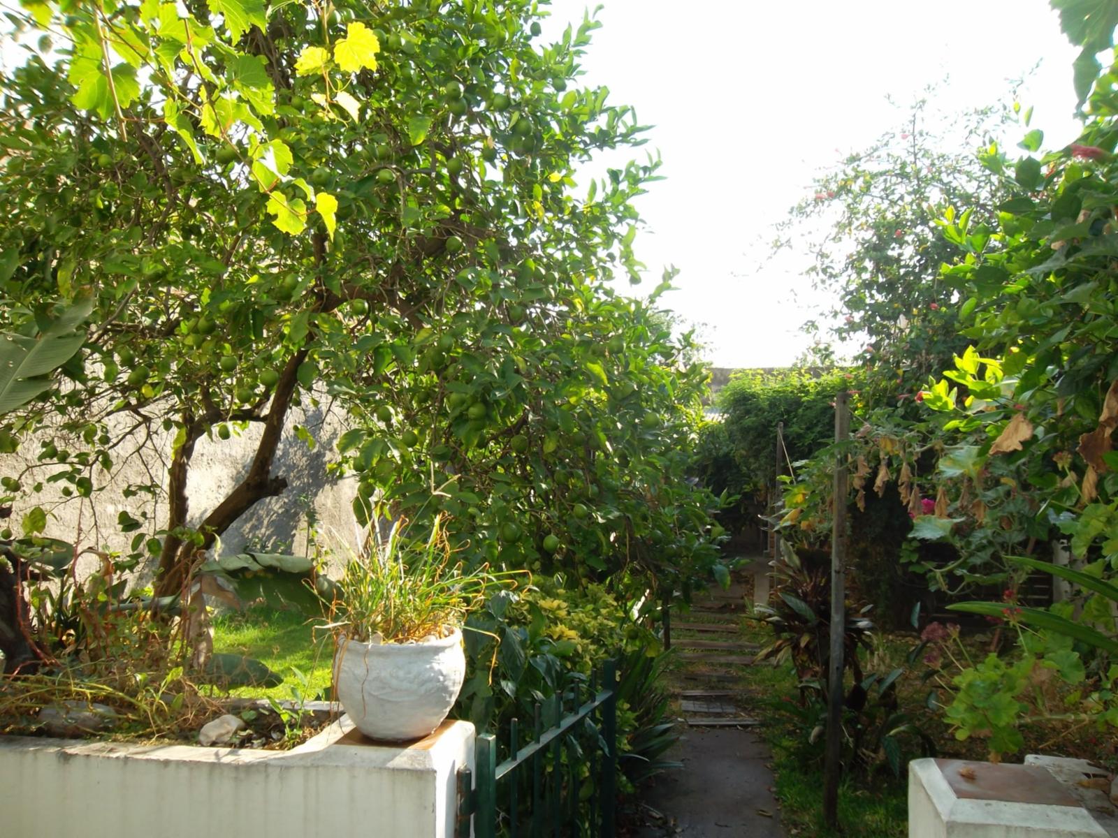 VENTA DE CASA MULTIFAMILIAR DE CUATRO AMB. Y FONDO LIBRE ZONA CHILAVERT — foto 11