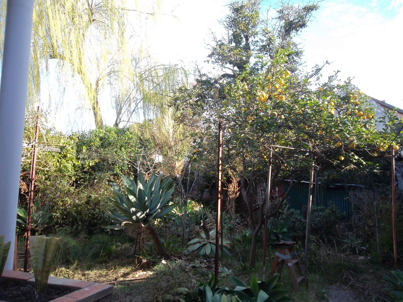 VENTA CASA DE CINCO AMB A RECICLAR — foto 8