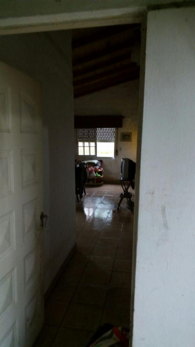 Vendo 8 has con casa, sobre Autovía Nacional 14 - 4