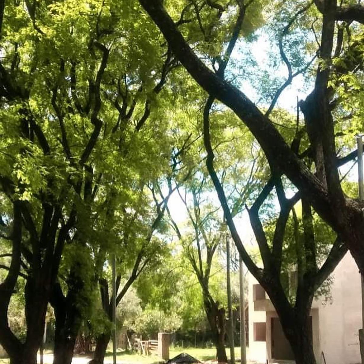 Hermosa propiedad con salida al rio, unica disponible — foto 5