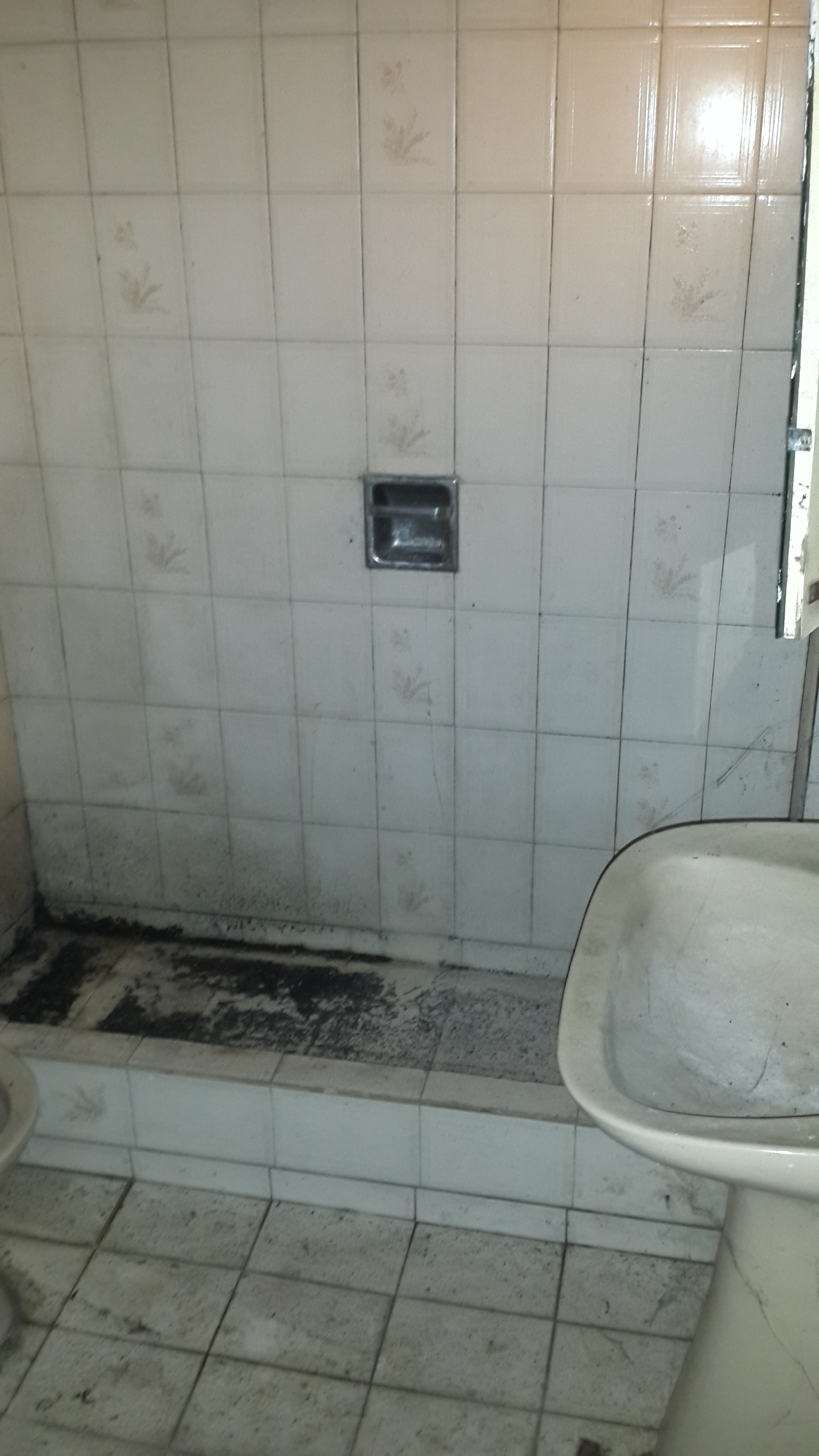 Casa en Ituzaingo Sur para 2 familias. Buena ubicacion, a refaccionar. — foto 11