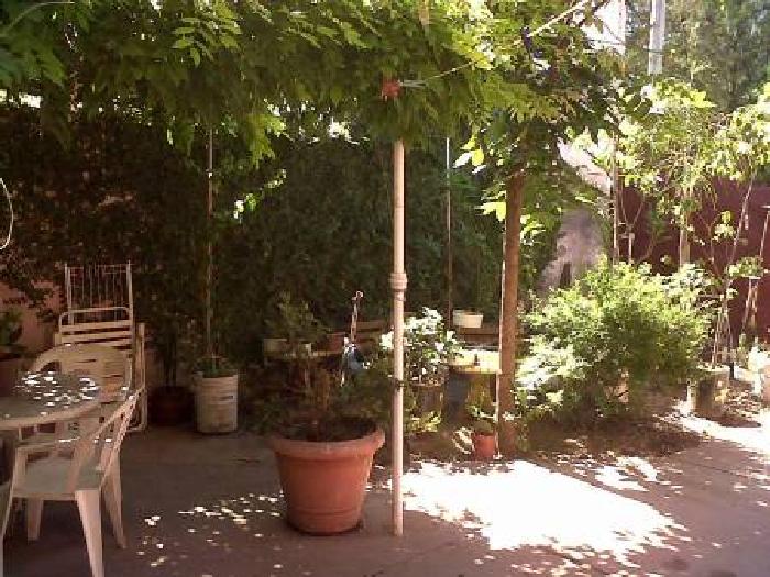 Casa en Venta en Gualeguay, Gualeguay, Entre Ríos — foto 2