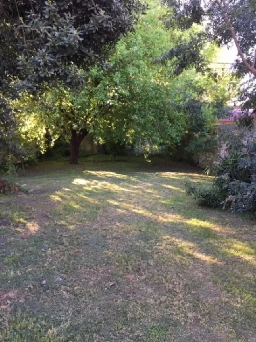 CASA LOTE PROPIO DE 10 X 50 - 3 AMB. ITUZAINGO — foto 13