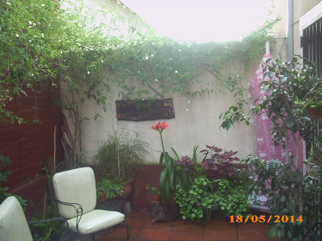 CONDOMINIO BUENA UBICACION EN BELLA VISTA A METROS DE ESTACION FCGSM. — foto 10
