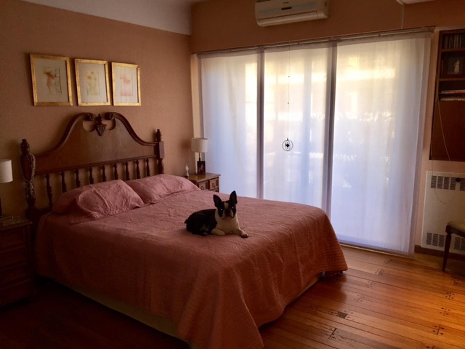 MUY BUEN DEPARTAMENTO SEMIPISO DE 4 AMBIENTES CON DEPENDENCIA DE SERVICIO, BALCÓN Y COCHERA — foto 14