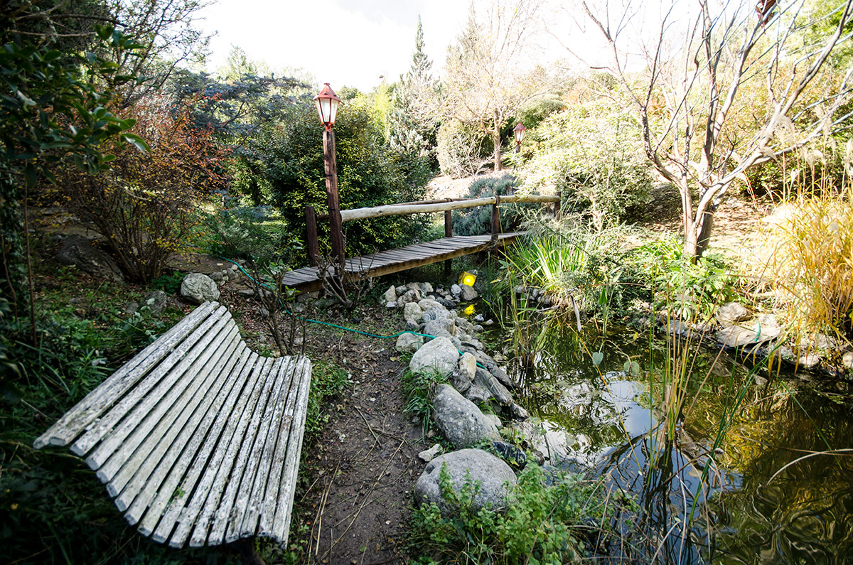 Casa de te EL ANGEL AZUL y vivienda sobre parque de 1500 m2 - 8