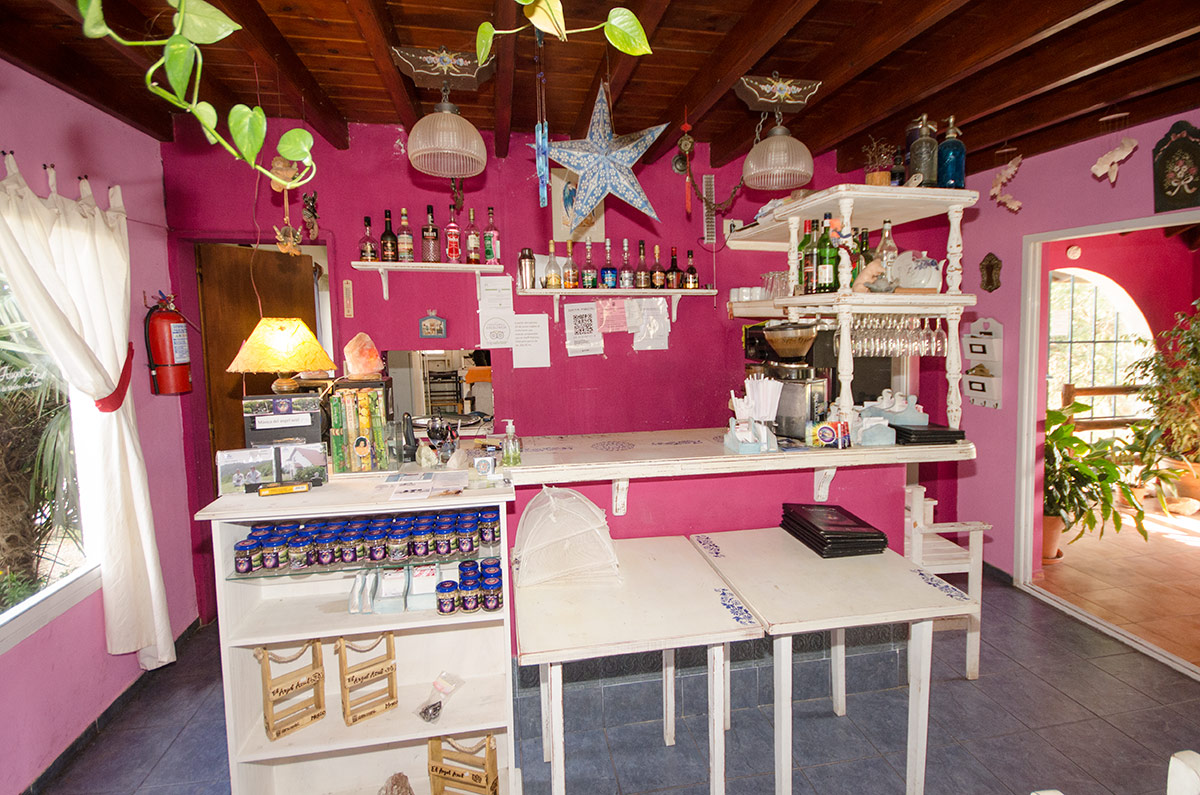 Casa de te EL ANGEL AZUL y vivienda sobre parque de 1500 m2 - 11