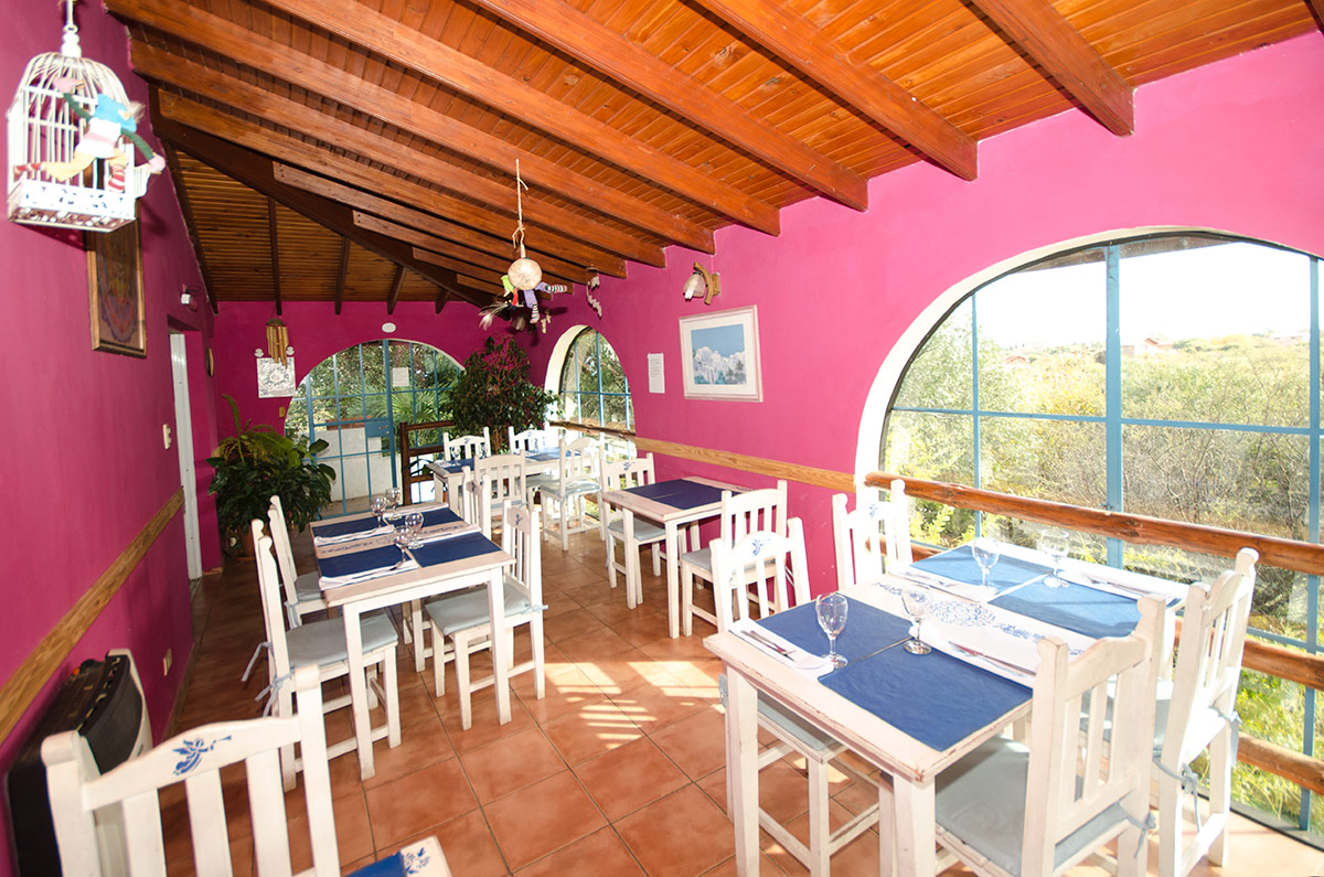 Casa de te EL ANGEL AZUL y vivienda sobre parque de 1500 m2 - 17