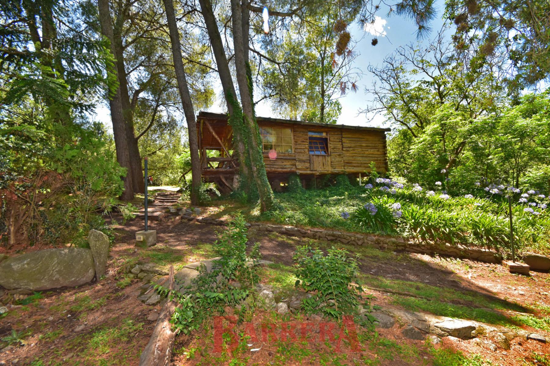 Merlo San Luis, Lola Mora casi Av. 2 Venados, (paseo de las esculturas) 2500 m2 con llamativa casa — foto 9
