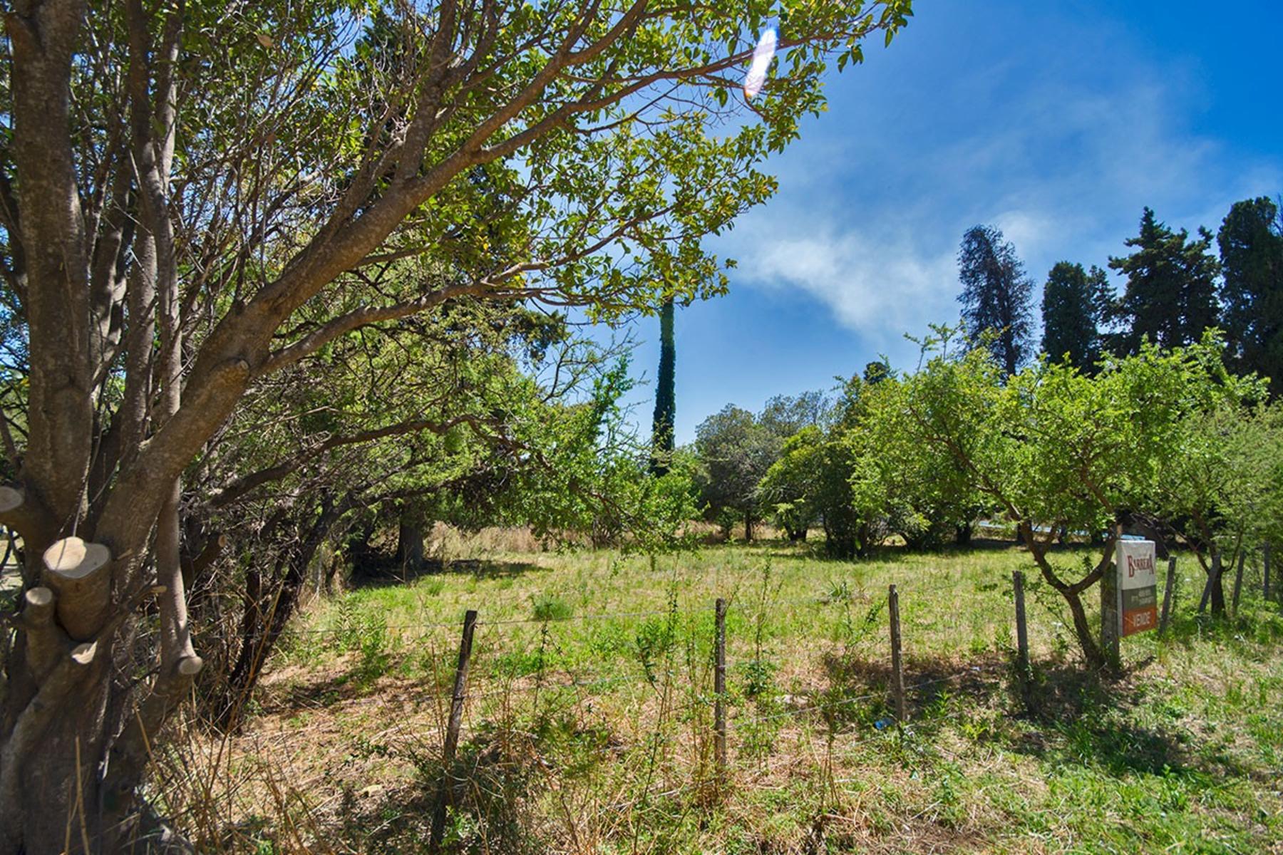 Merlo, San Luis: terreno 964 m2 con excelentes vistas a la sierra — foto 2