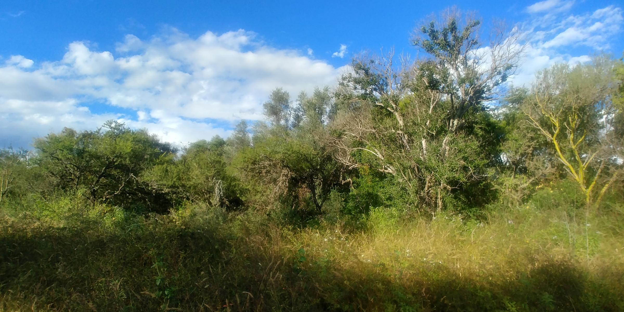 Lote para vivienda a 1 cuadra Av. Fermín Romero 800 m2 — foto 5