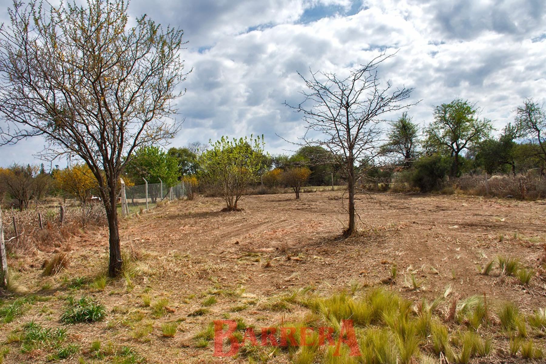 Lote muy amplio 2494 m2 Piedra Blanca abajo — foto 8