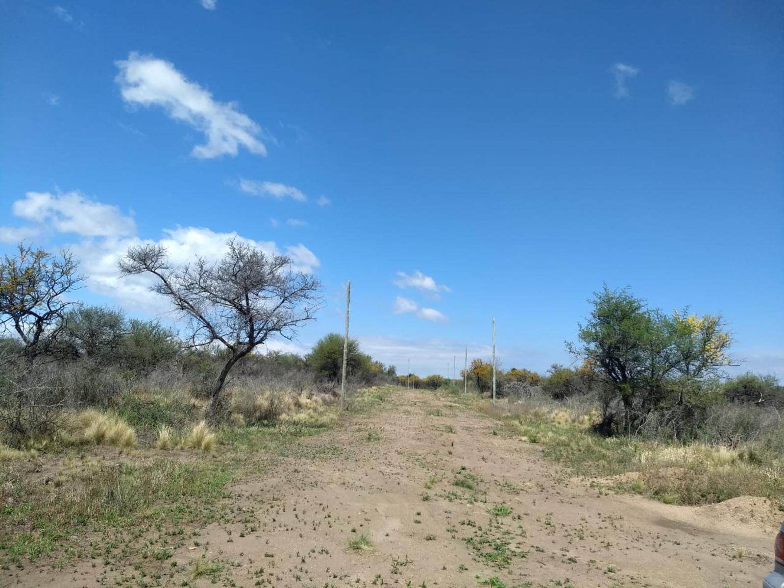 Amplio lote 10.000 m2 para cambiar tu vida VILLA LARCA - 6