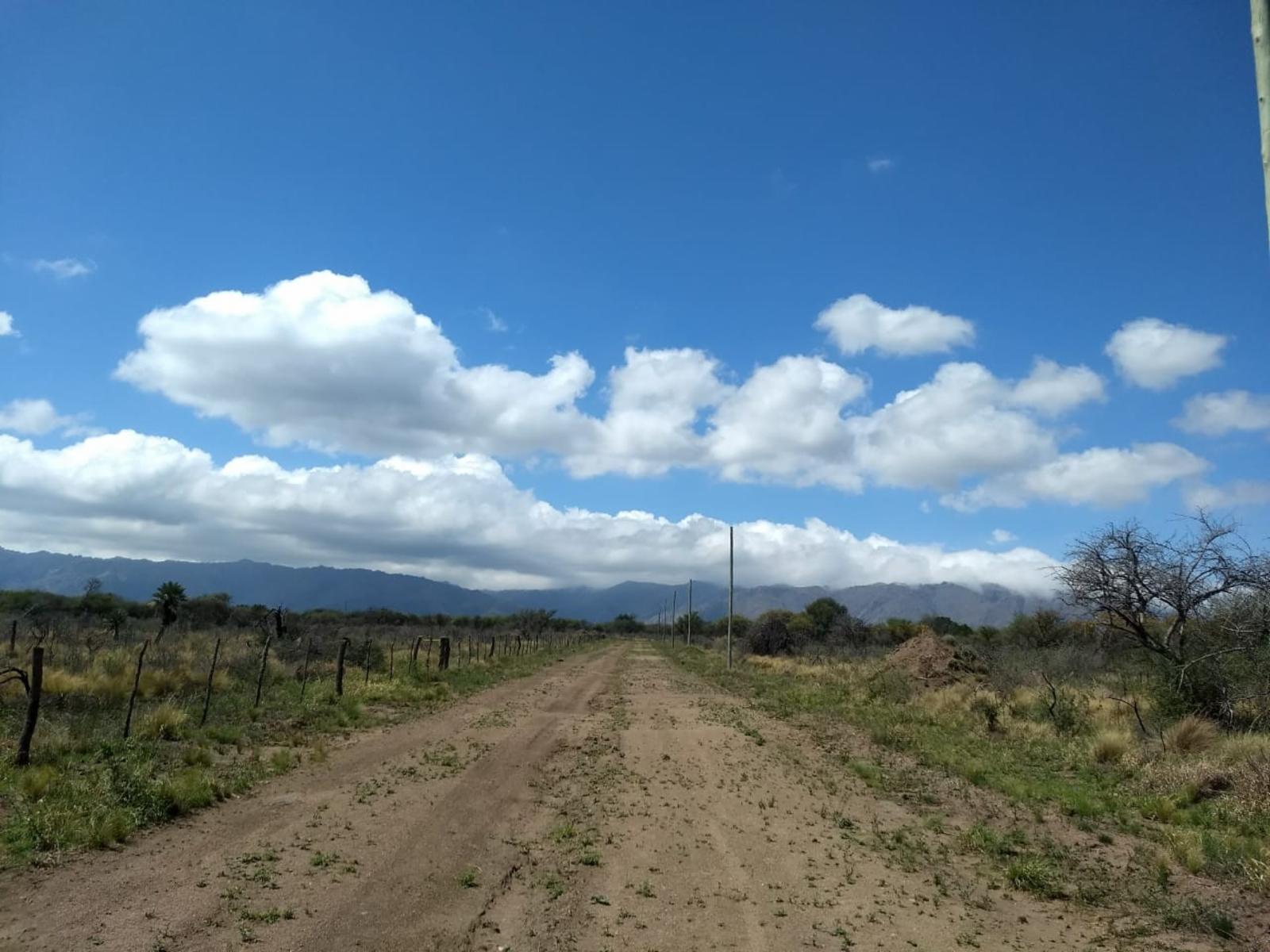 Amplio lote 10.000 m2 para cambiar tu vida VILLA LARCA - 11