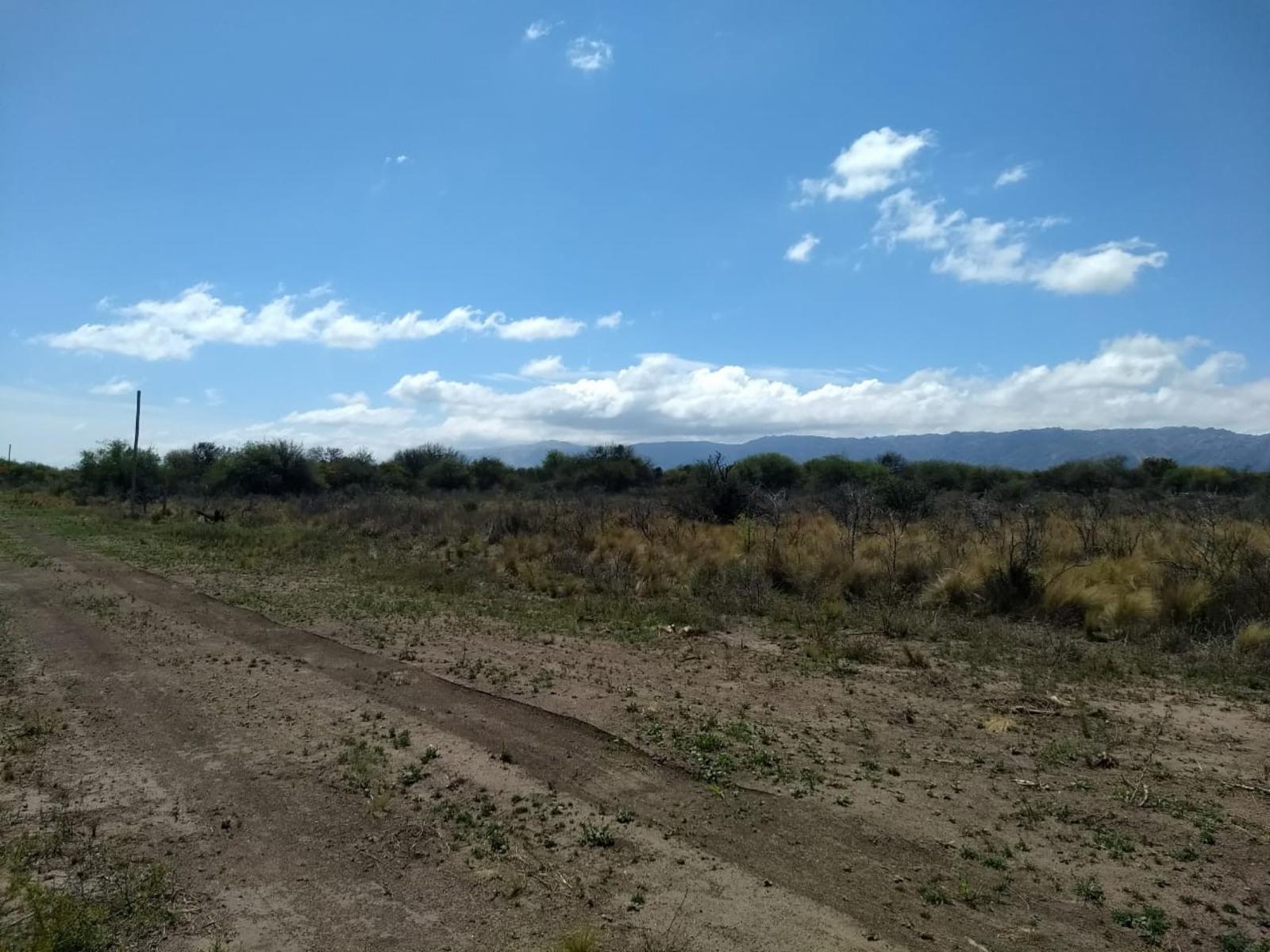 Amplio lote 10.000 m2 para cambiar tu vida VILLA LARCA - 12