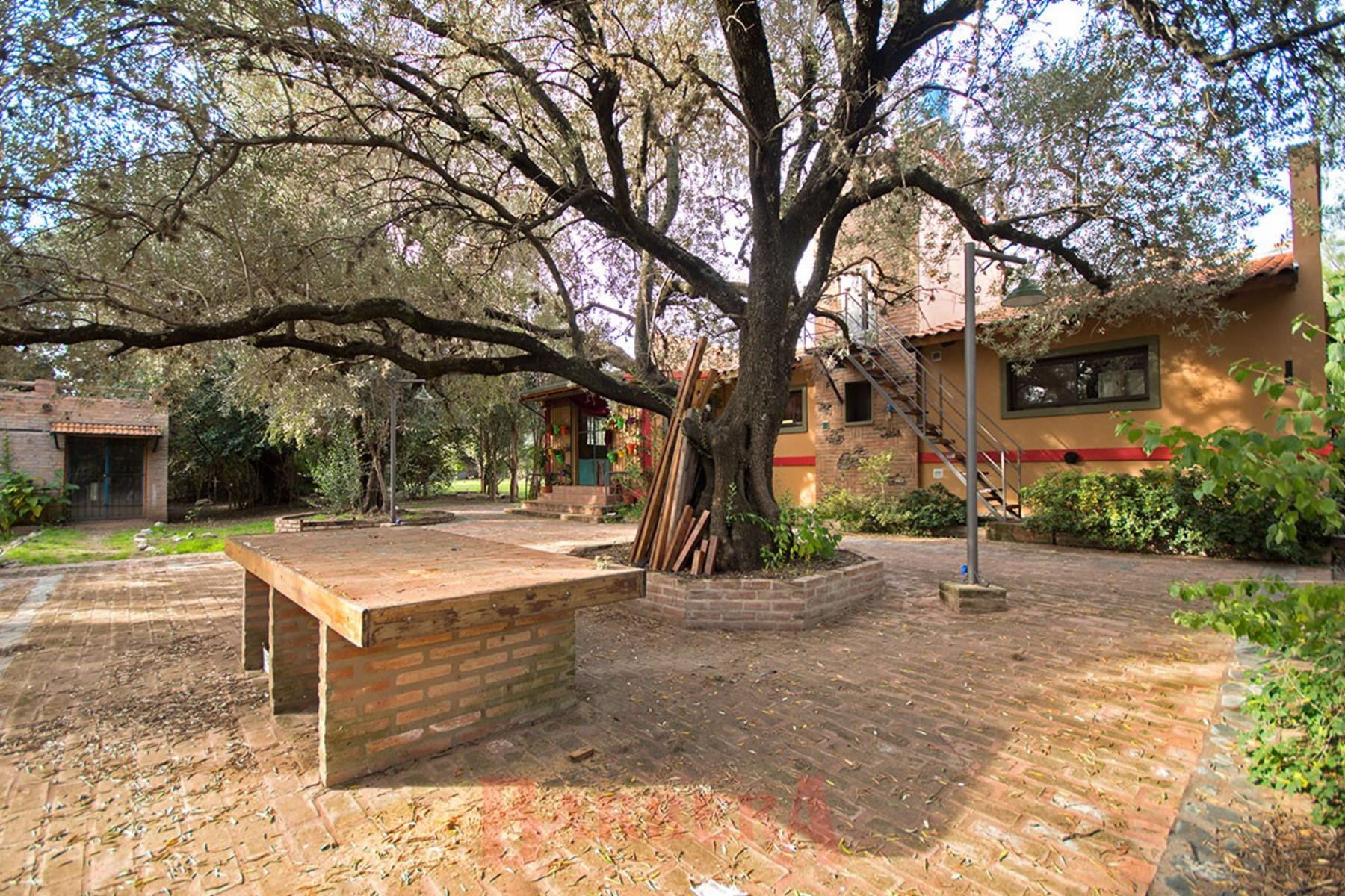 Casa Fuera de serie, 290 m2 construidos sobre lote 5386 m2 — foto 13