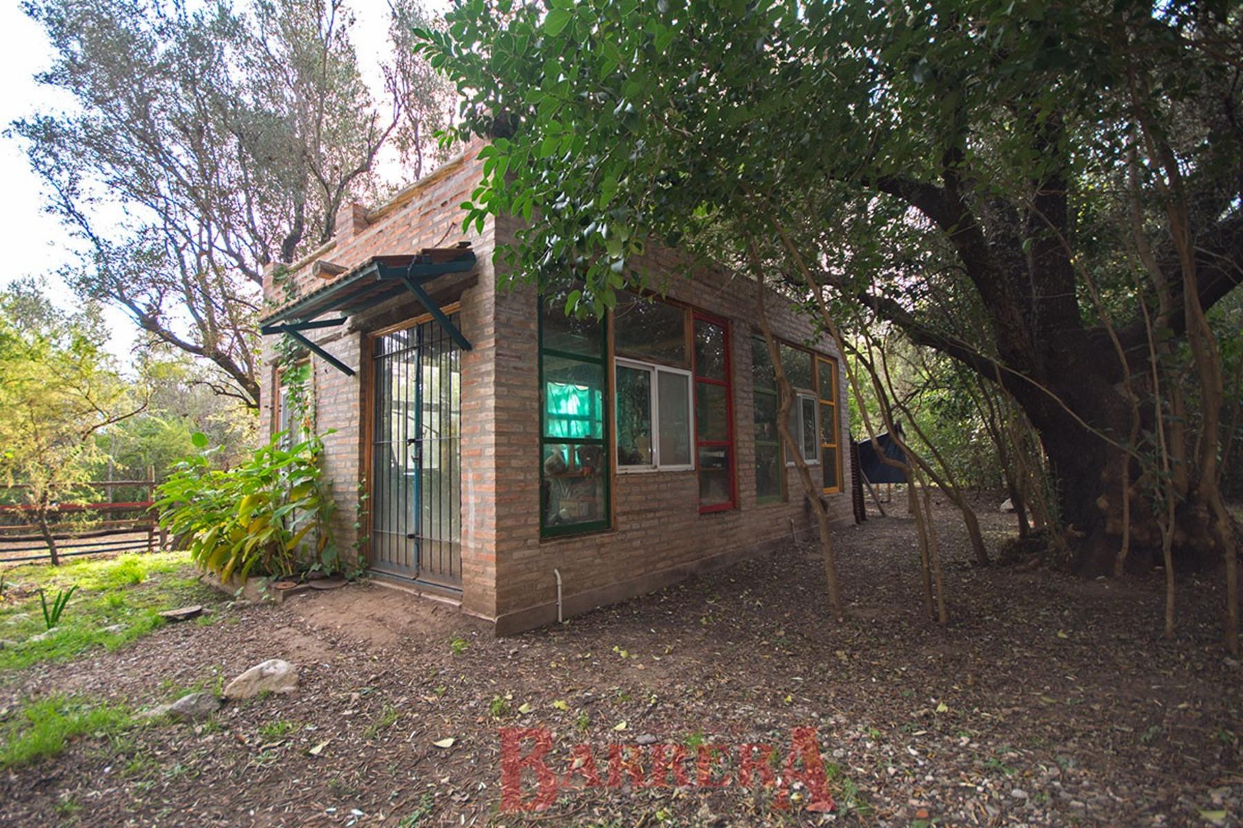 Casa Fuera de serie, 290 m2 construidos sobre lote 5386 m2 — foto 14