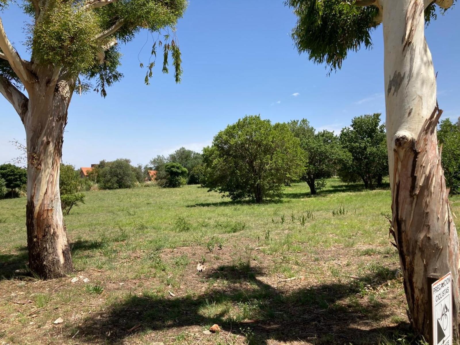 Country Chumamaya lote 1212 m2 UF 14 B 15 — foto 3