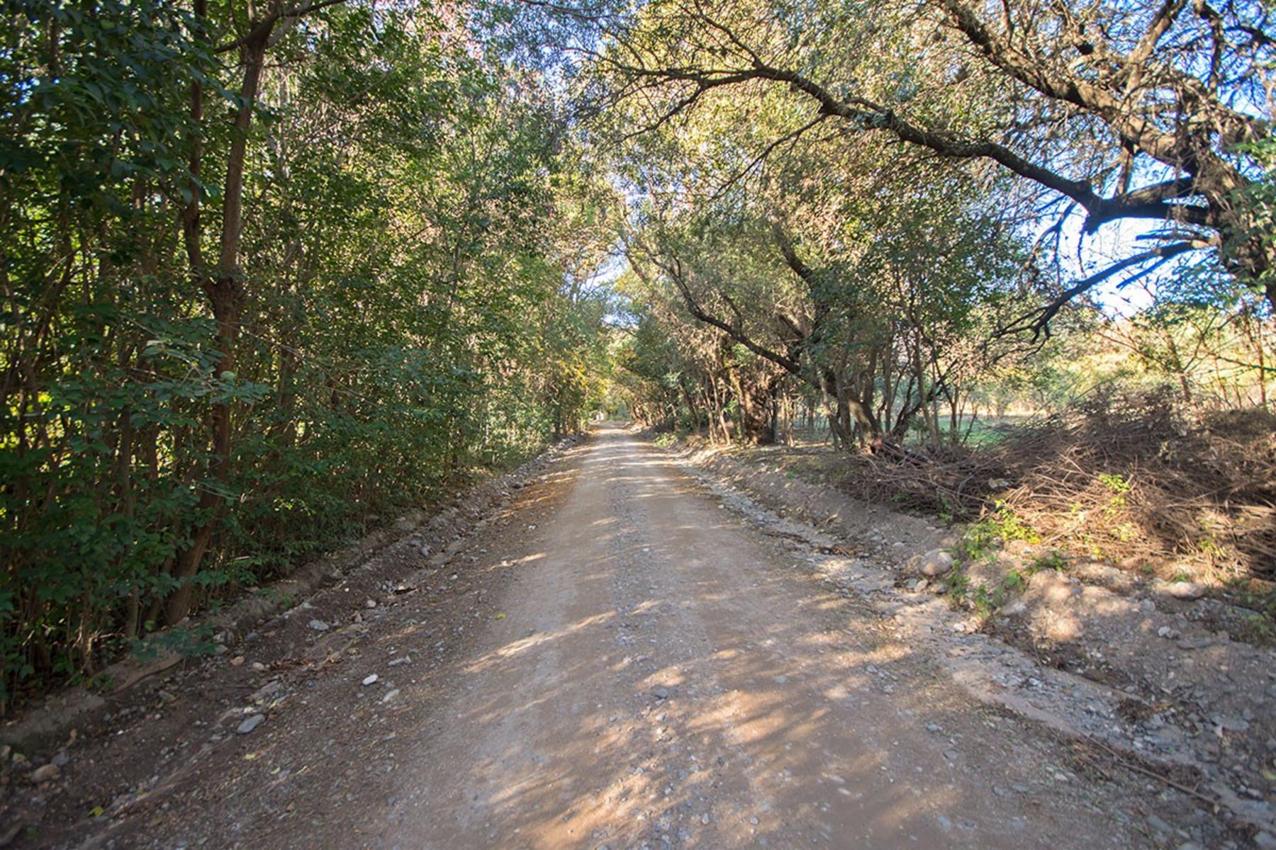 amplio lote 7480 m2 Piedra Blanca Abajo — foto 4