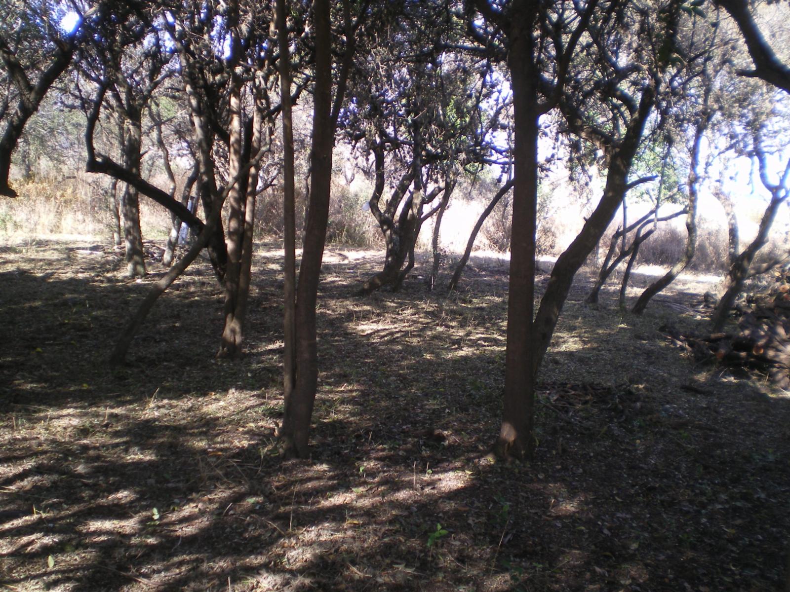 Villa de Merlo, Fracción de 26000 m2 s/Cta de la Granadilla — foto 2