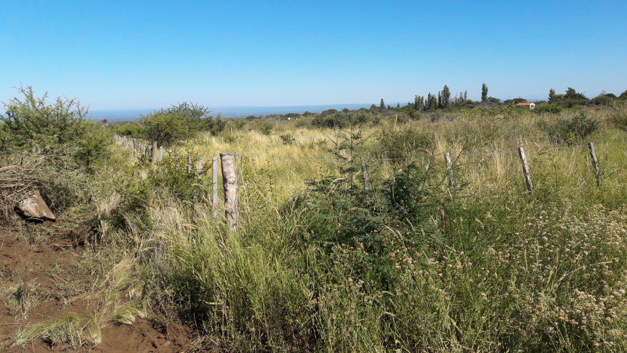 Villa de Merlo, Fracción de 26000 m2 s/Cta de la Granadilla — foto 5