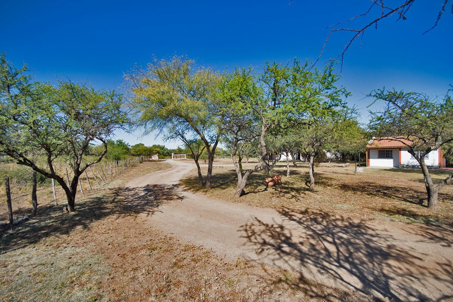 Complejo de CABAÑAS en la localidad de Corralito, Luyaba, Córdoba - 3