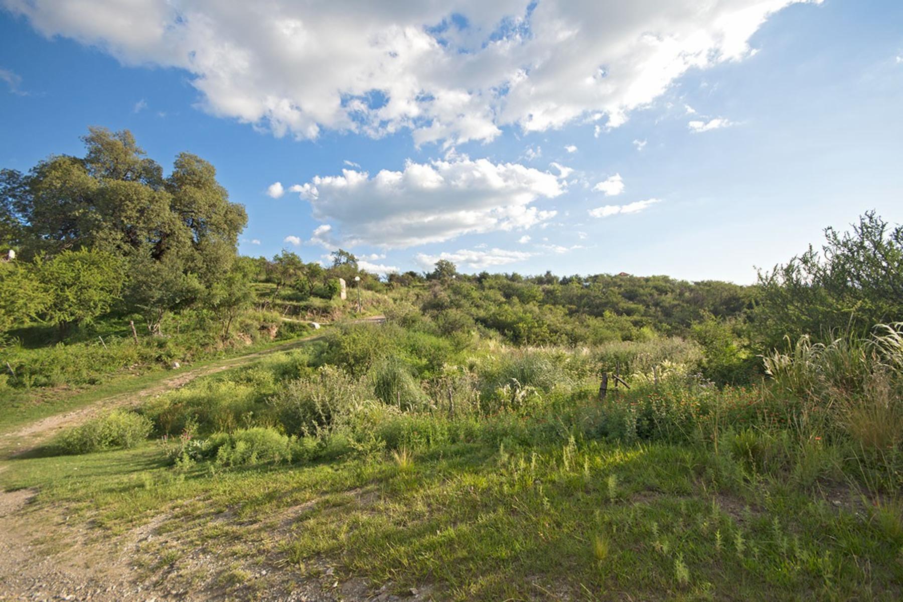 Lote en Los Nogales, Merlo, San Luis 8010 m2 — foto 7