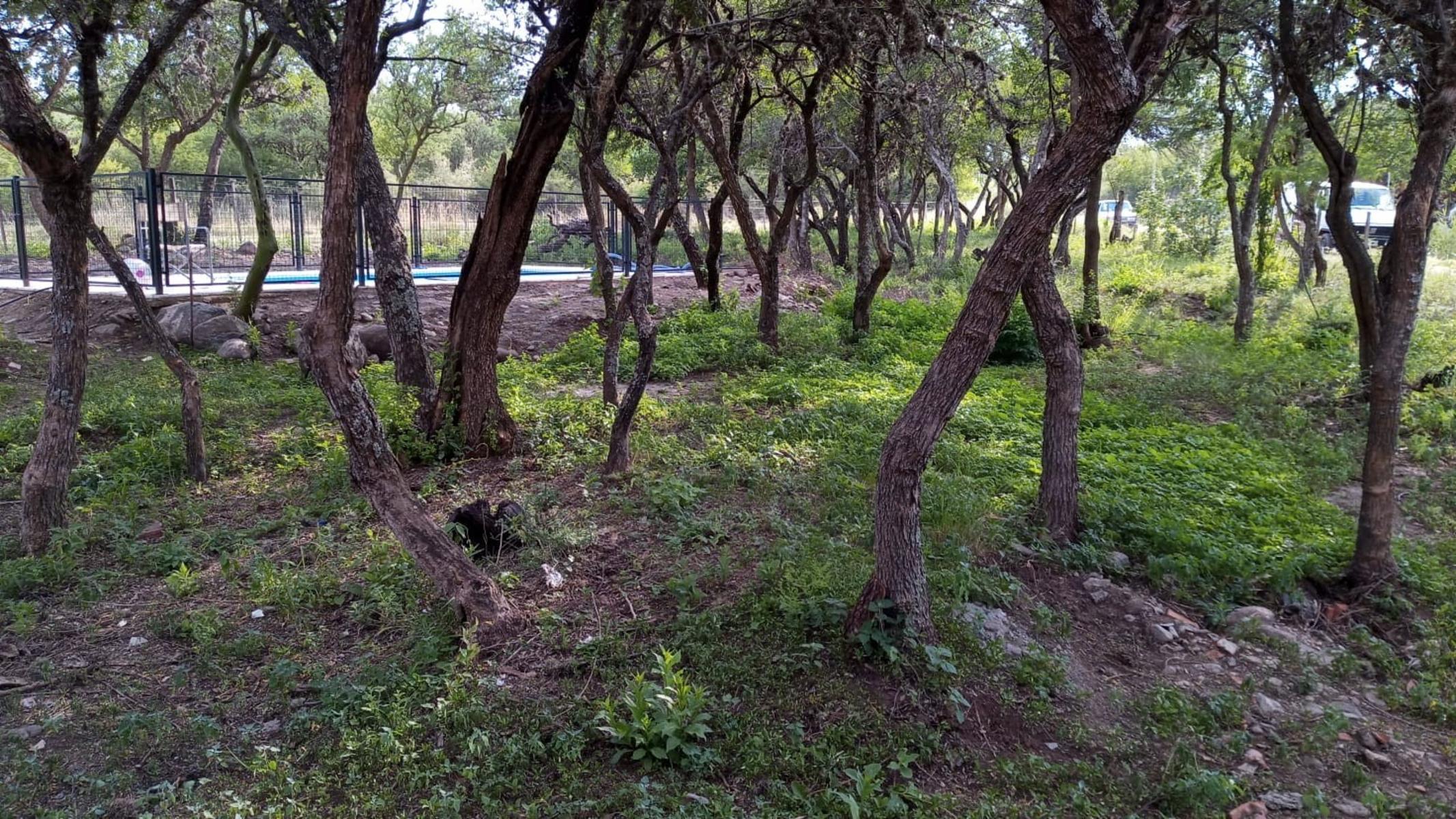 Cerro de Oro, Merlo San Luis casa para 8/12 personas — foto 6