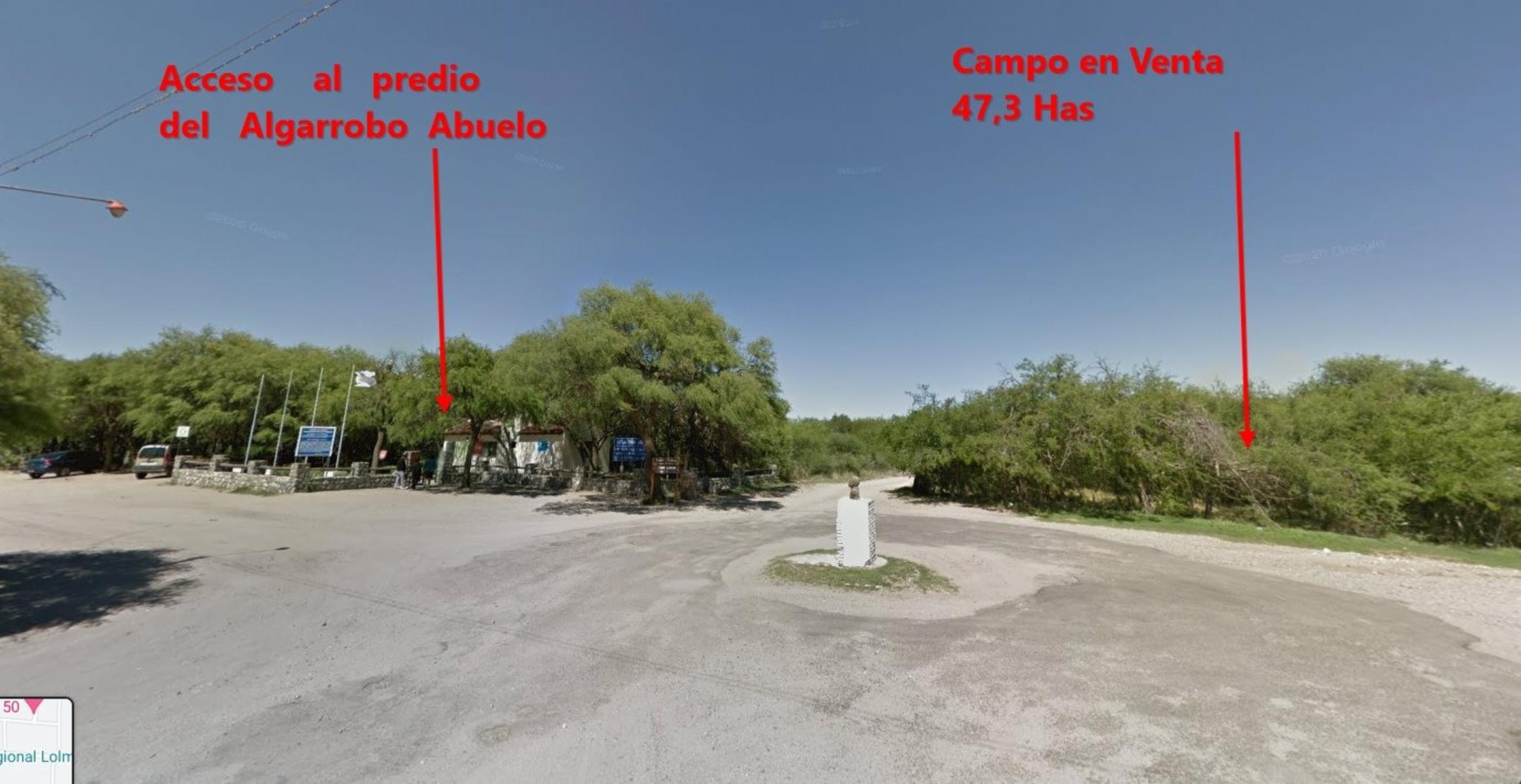 Campo 47 Has. frente al Algarrobo Abuelo Merlo San Luis - 1