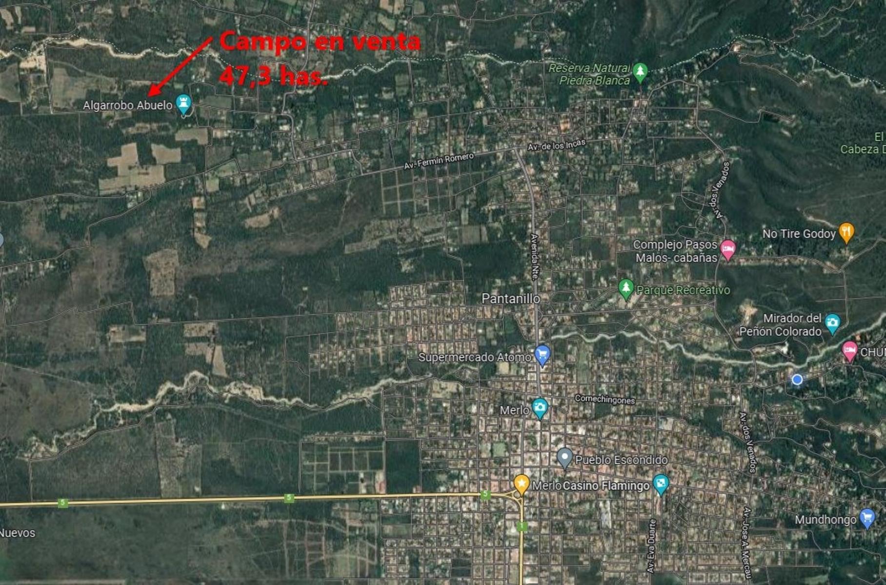 Campo 47 Has. frente al Algarrobo Abuelo Merlo San Luis - 5