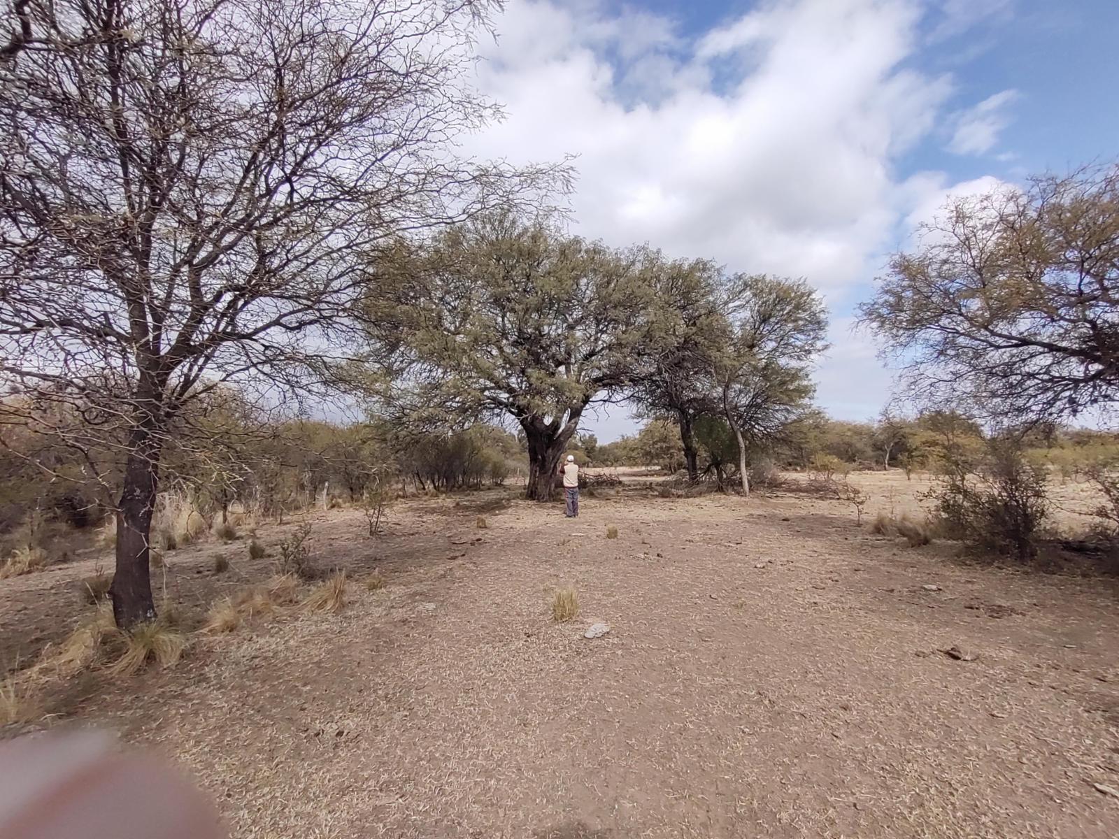 Campo 47 Has. frente al Algarrobo Abuelo Merlo San Luis - 11