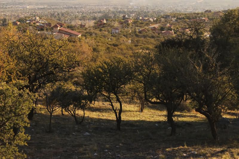 Últimos lotes en venta en Barrio Los Nogales. Los precios van desde los U$S 35.000 a U$S 70.000. Contactar para más información. — foto 3