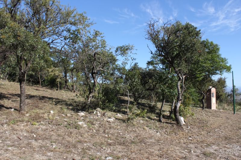 Últimos lotes en venta en Barrio Los Nogales. Los precios van desde los U$S 35.000 a U$S 70.000. Contactar para más información. — foto 6