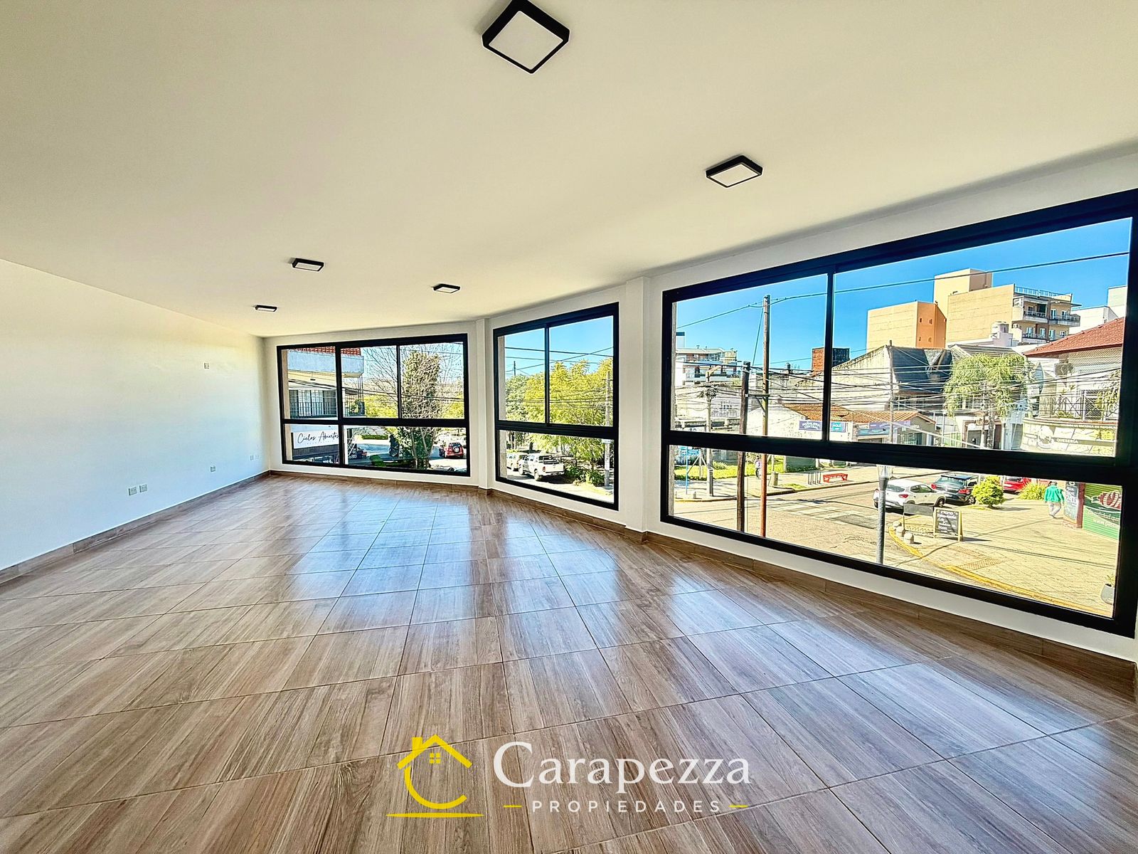 Oficina Comercial / Local En 1° Piso en Alquiler en Villa Bosch - 6
