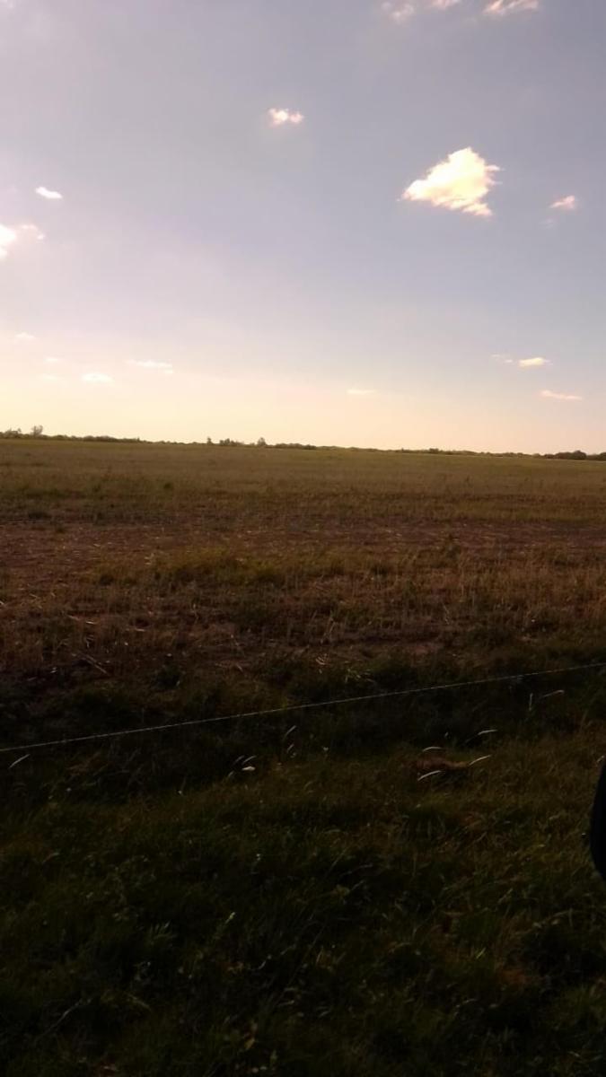 28 ha sobre Autovía 18 - 3