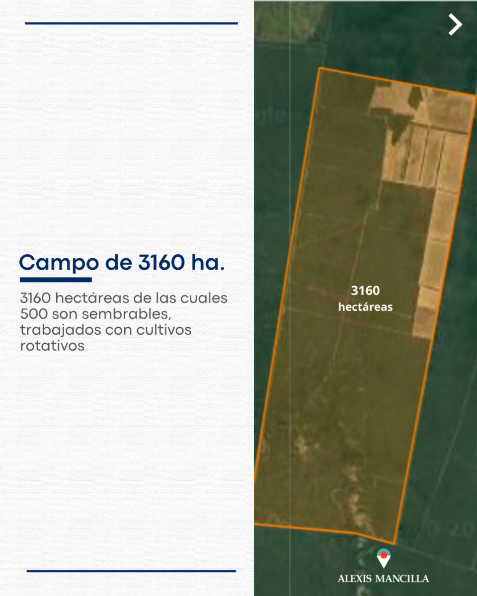 ¡Oportunidad Campo 3160 ha. Rosario de la Frontera - Salta - 3